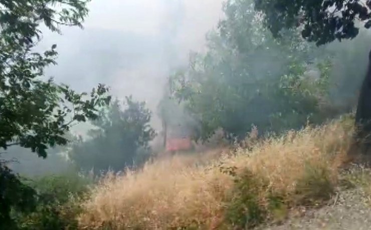Kahramanmaraş’ta orman yangını büyümeden söndürüldü