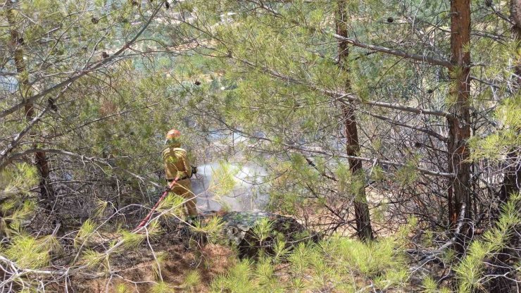 Mersin Mut’ta orman yangını