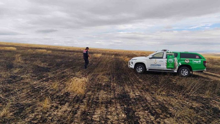 Yangın sonrası doğadaki canlılar kontrol edildi