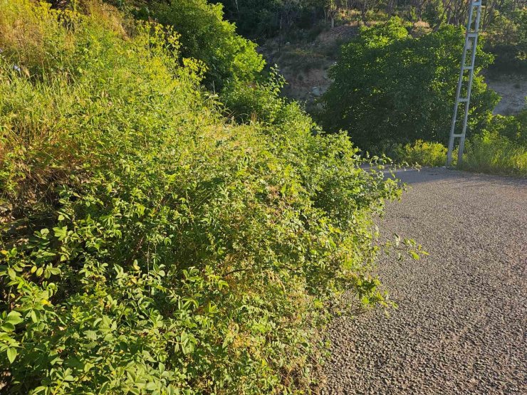 İspir’de görmezden gelinen tehlike