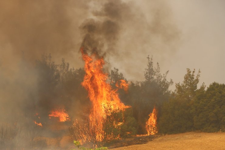 Kula’da orman yangınına müdahale sürüyor