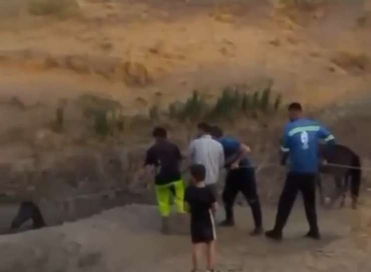 Çamura saplanan atı köylüler kurtardı