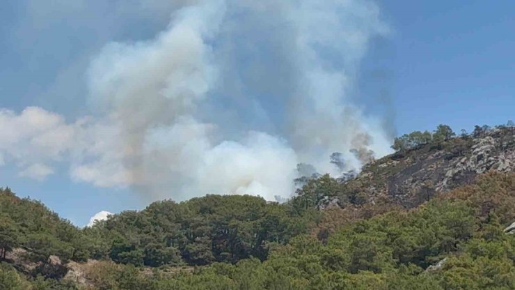 Gazipaşa’da ormanlık alanda yangın