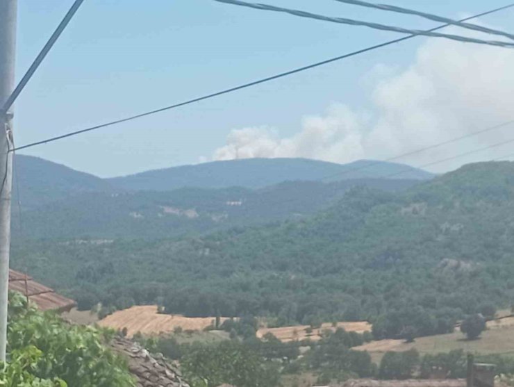 Bursa’da orman yangını: Havadan ve karadan müdahale ediliyor