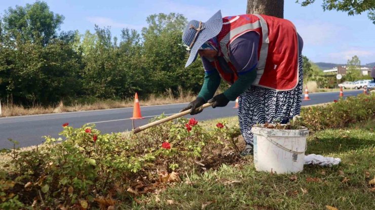 Yeşil alanlara kadın eli değiyor