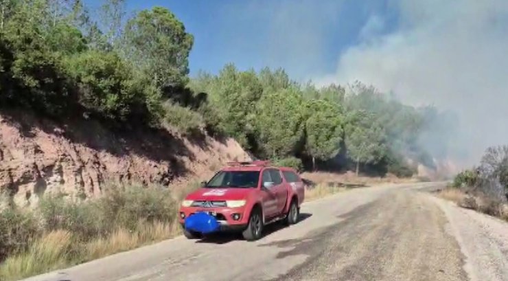 Adana’da orman yangını