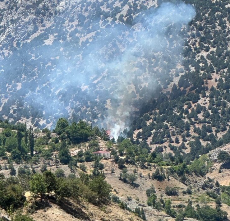 Gölbaşı’nda ormanlık alan yandı