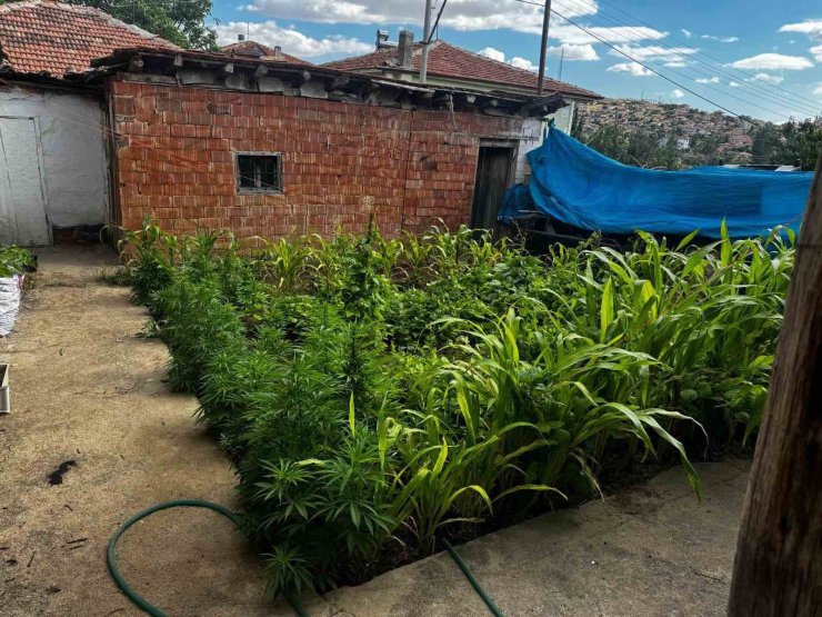 Kırıkkale’de uyuşturucu operasyonu: Aynı aileden 3 şüpheliye gözaltı