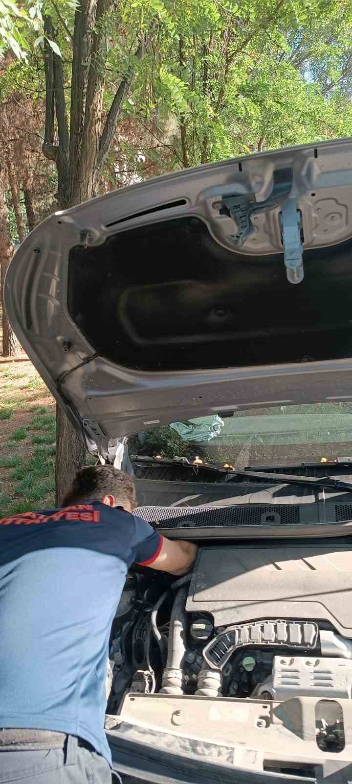 Batman’da otomobilin motoruna sıkışan kediyi itfaiye kurtardı