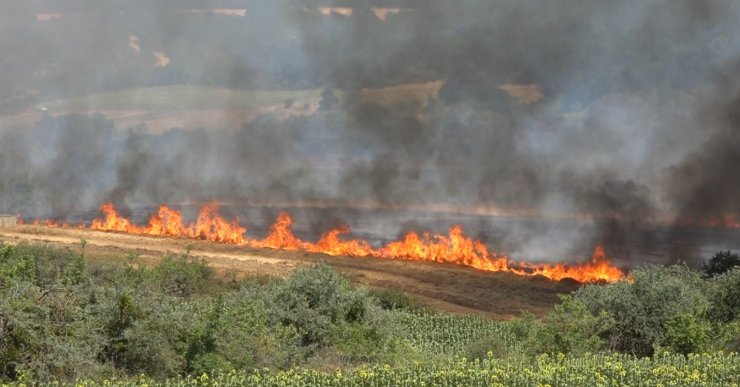 Kırklareli’nde yangın: 500 dekar tarım arazisi ve ağaçlık alan zarar gördü