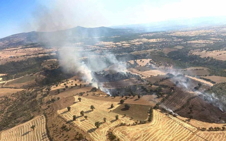 Kütahya’daki yangında 60 hektar ormanlık ve 50 hektarlık ziraat alanı zarar gördü