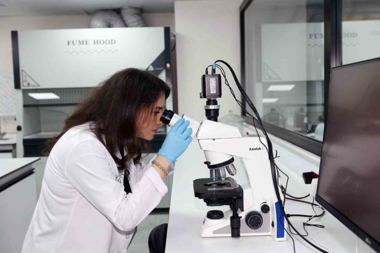 100. yıl gıda analiz laboratuvarında pestisit kalıntı analizleri yapılıyor