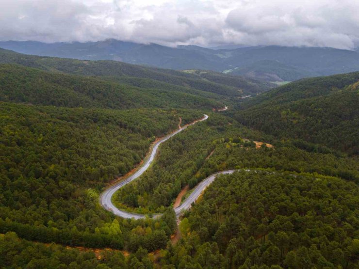 Akdağmadeni Belediye Başkanı Dr. Nezih Yalçın’dan orman yangını riskine karşı uyarı