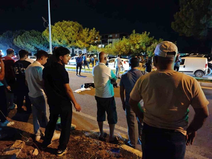 Yolun karşısına geçmeye çalışırken hayatını kaybetti