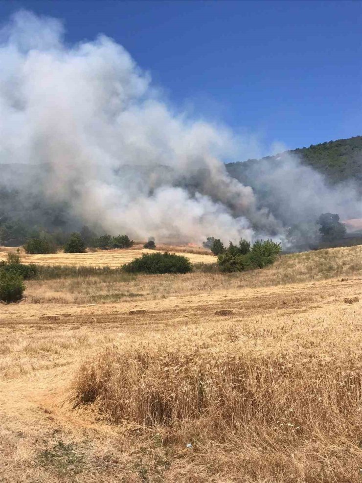 Yenişehir’de buğday tarlasında çıkan yangın ormana sıçradı