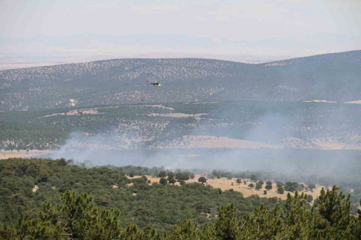 Seyitgazi’de orman yangınıyla ilgili açıklama