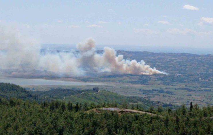 Kahramanmaraş’ta orman yangını