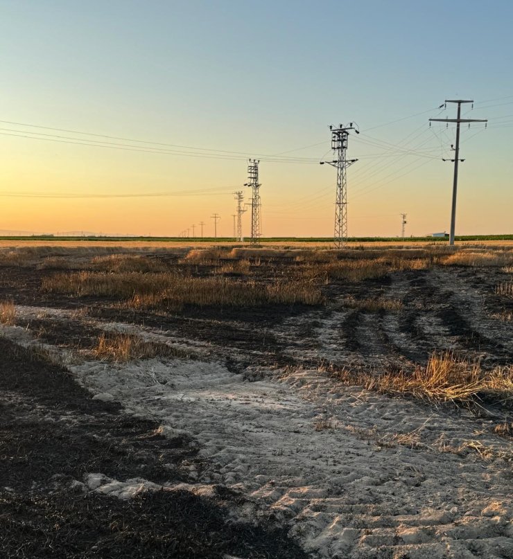 Karapınar’da buğday tarlasında yangın