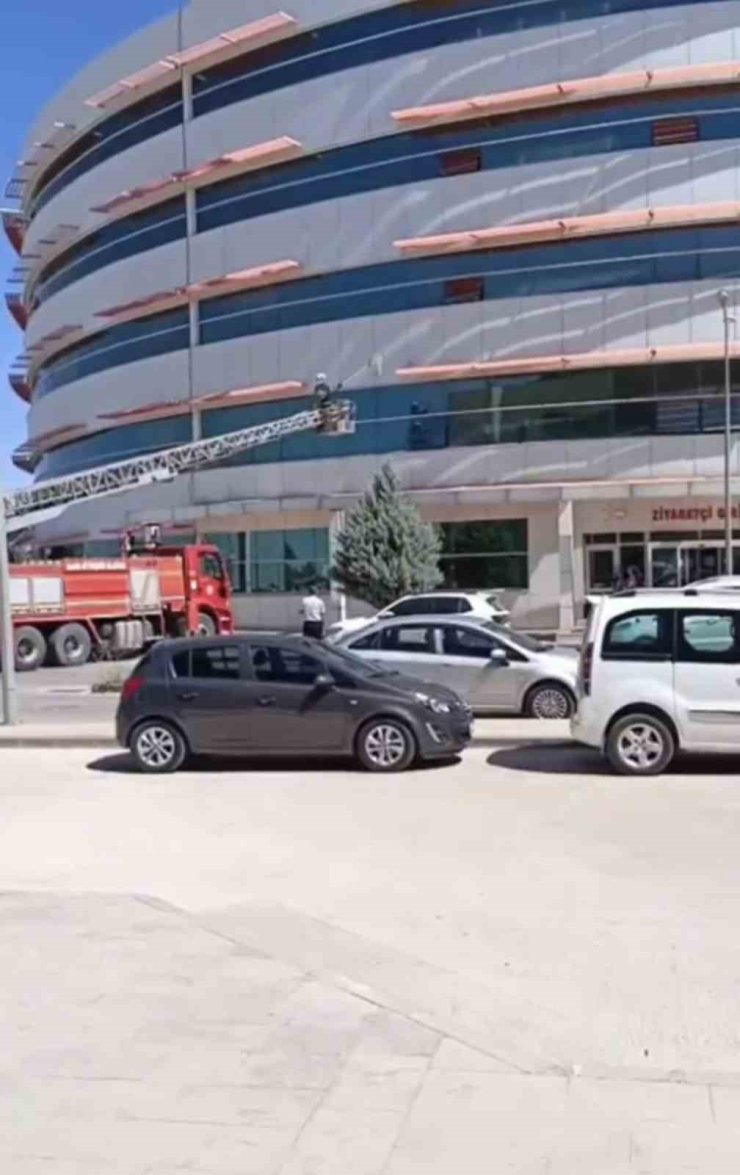 Mardin’de hastanenin dış cephesinde mahsur kalan kedi kurtarıldı
