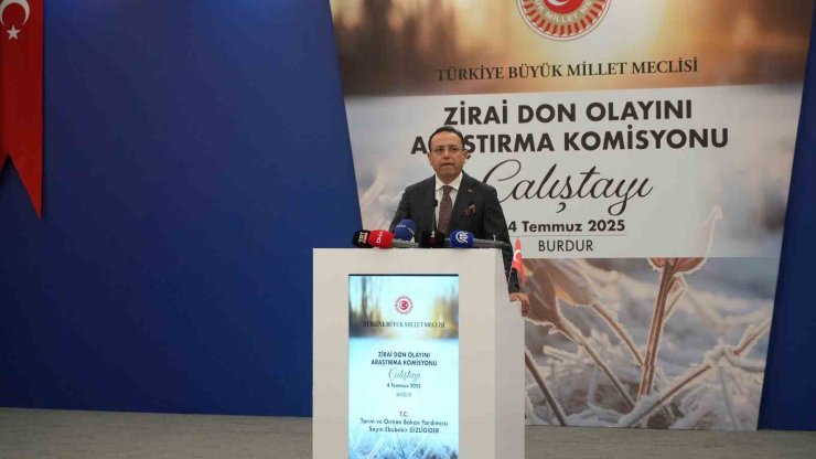 Tarım ve Orman Bakan Yardımcısı Gizligider: "Türkiye’de ortaya çıkan yangınların yüzde 83’ü insan kaynaklı"