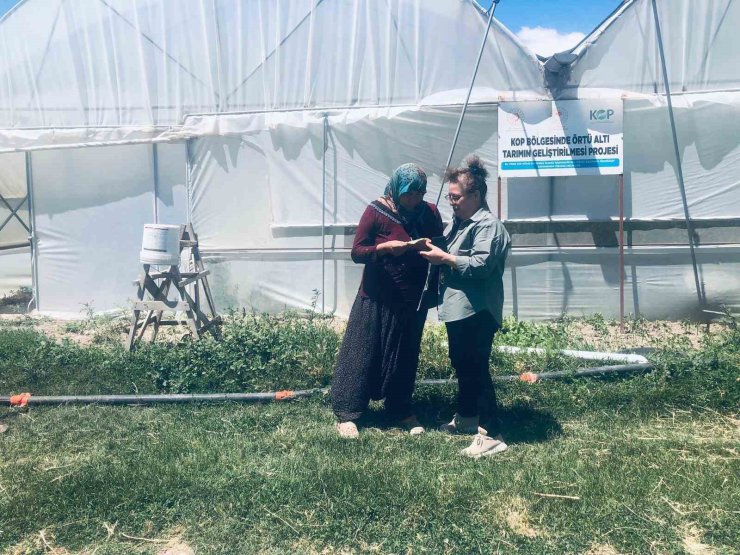 Niğde’de KOP destekli seralarda üretim başladı