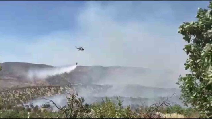 Gabar Dağı’ndaki orman yangını kontrol altına alındı