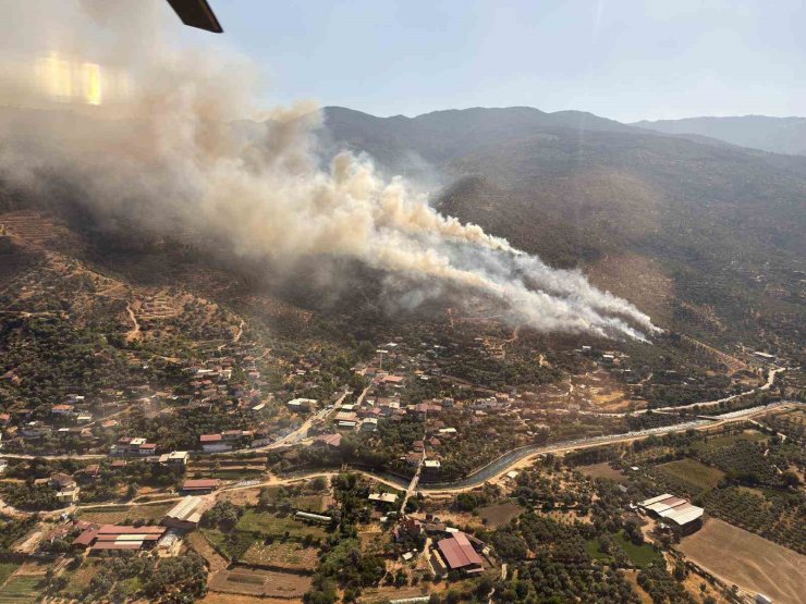 Aydın’da orman yangını