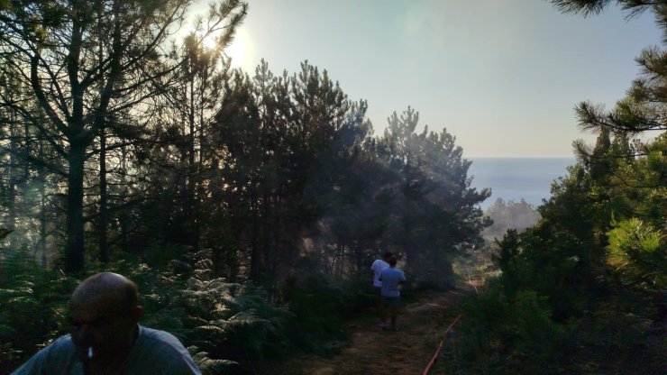 Zonguldak’ta çıkan yangında 7 dönümlük karaçam ormanı zarar gördü