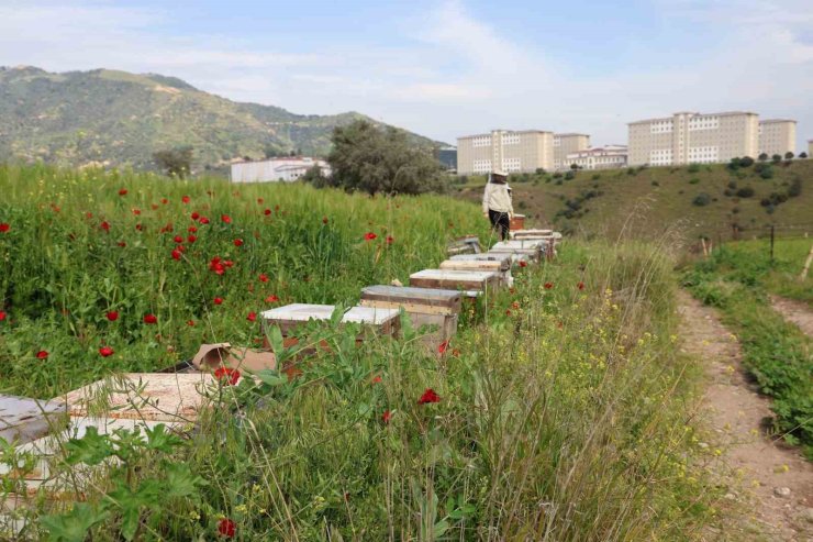 Sultanhisar İlçe Tarım ve Orman Müdürlüğü arıcıları uyardı