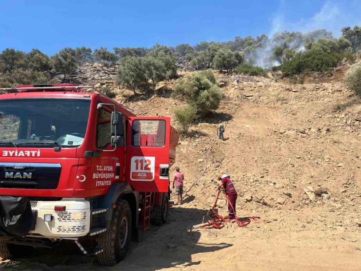 Bozdoğan’daki zirai alan yangını söndürüldü