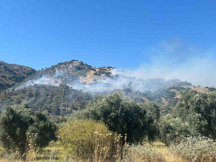 Kızılcaköy yangını kontrol altına alındı