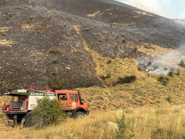 Orman yangınında yapılması gerekenler sıralandı