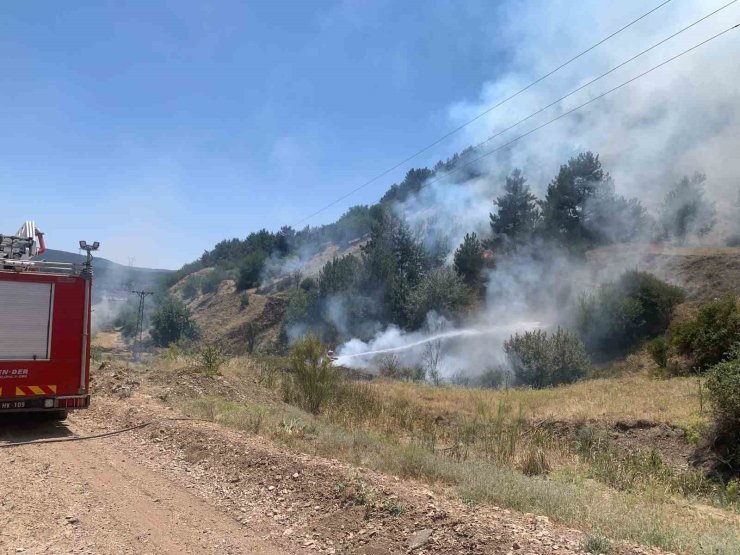 Tavşanlı’da orman yangını erken müdahaleyle söndürüldü