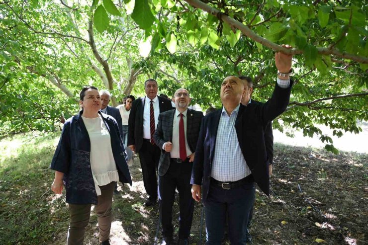 TBMM Zirai Don Araştırma Komisyonu Çivril’de meyve bahçelerini inceledi