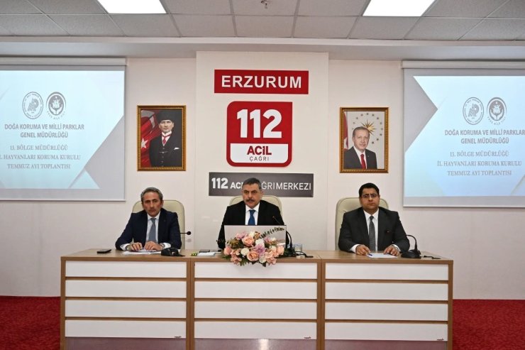 Sokak hayvanları mercek altında