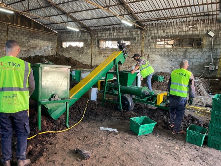 Filistin’de zeytin atıkları, pelet yakıta dönüşüyor