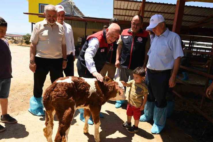 Denizli’de 511 bin ton inek sütü üretiliyor