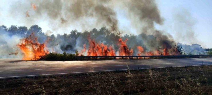 Sakarya’da otluk alanda korkutan yangın