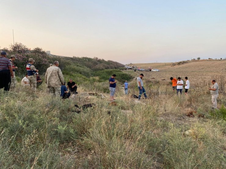 Fabrika atıklarının bırakıldığı iddia edilen dereden su içen 64 küçükbaş hayvan telef oldu