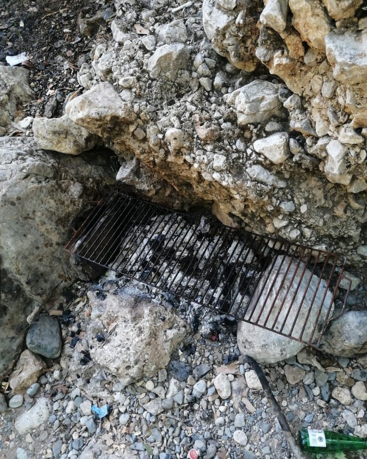 Mersin’de ormanda piknik yapan 5 kişiye ceza