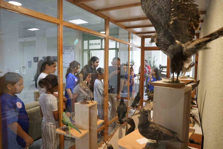 Botanik bahçesi öğrencilerin ilgisini çekti