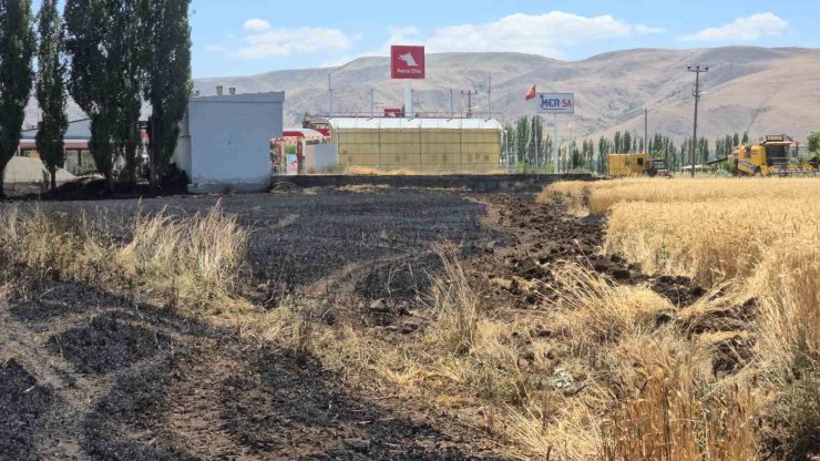 Elazığ’da 23 dönüm buğday, yanarak kül oldu