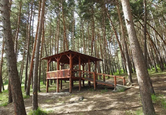 Ardahan’da ormanlara giriş yasaklandı