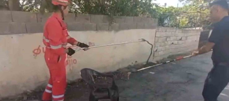 Evin bahçesine giren yılanı itfaiye yakaladı