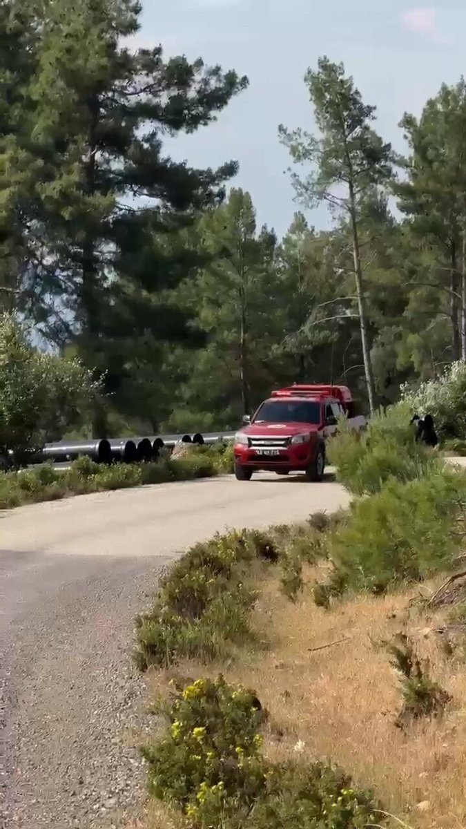 Muğla’da kurumlar yaz aylarında doğayı korumak için teyakkuzda