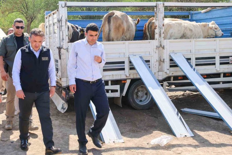 Yangın sonrası üreticilere büyükbaş ve küçükbaş hayvan desteği sağlandı