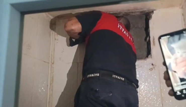 Havalandırma boşluğunda mahsur kalan yavru kedi kurtarıldı