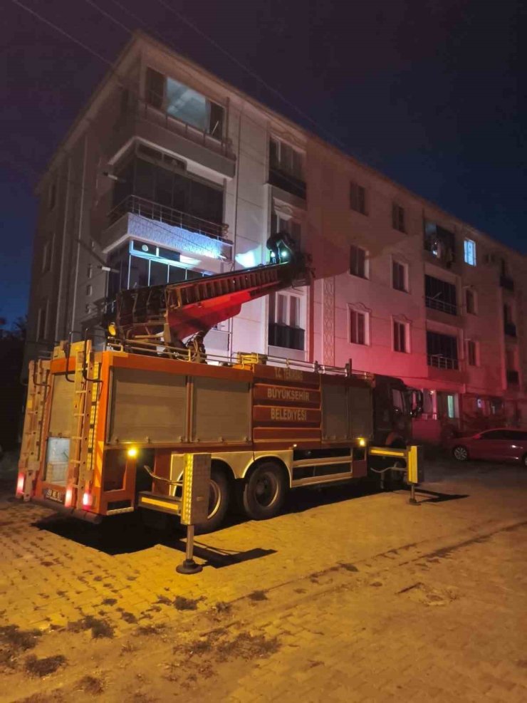 Pencereye sıkışan kuş için itfaiye seferber oldu