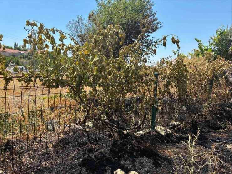 Kopan ÇEDAŞ kablosu yangına neden oldu