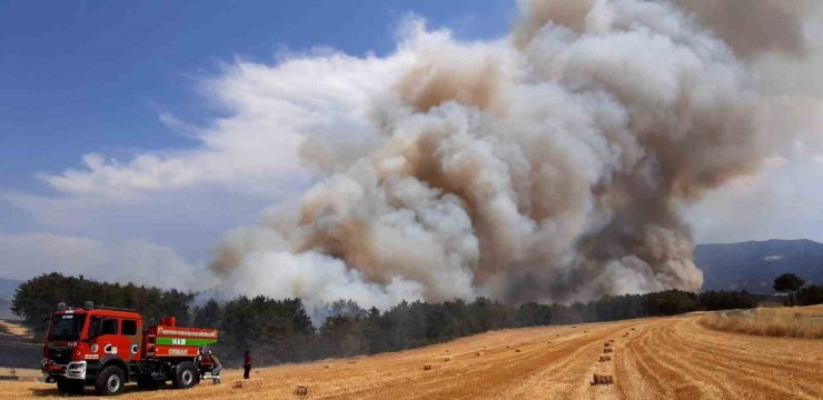 Bolu’da anız yangını ormana sıçradı